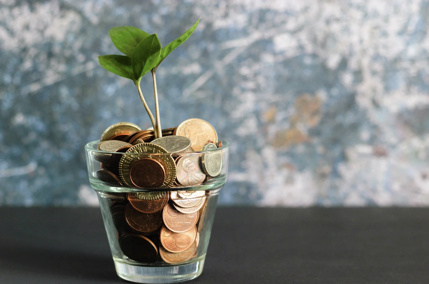 Cup of coins with plant sprouting